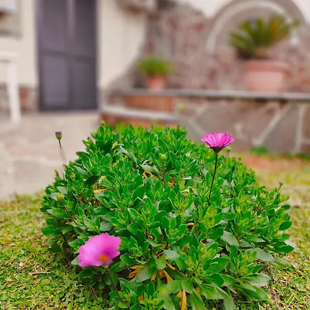 Apartamento Maison Margot - Giardino E Parcheggio Privato *